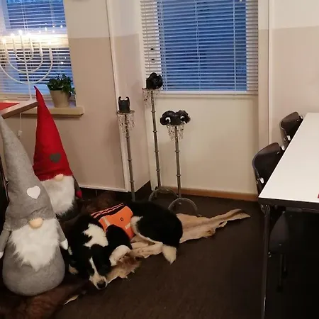 Hotel Kaidanojan Kartano 3*